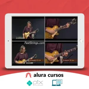 Robben Ford - Art Of Blues Rhythm [INGLÊS]